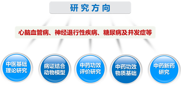 image_07.jpg