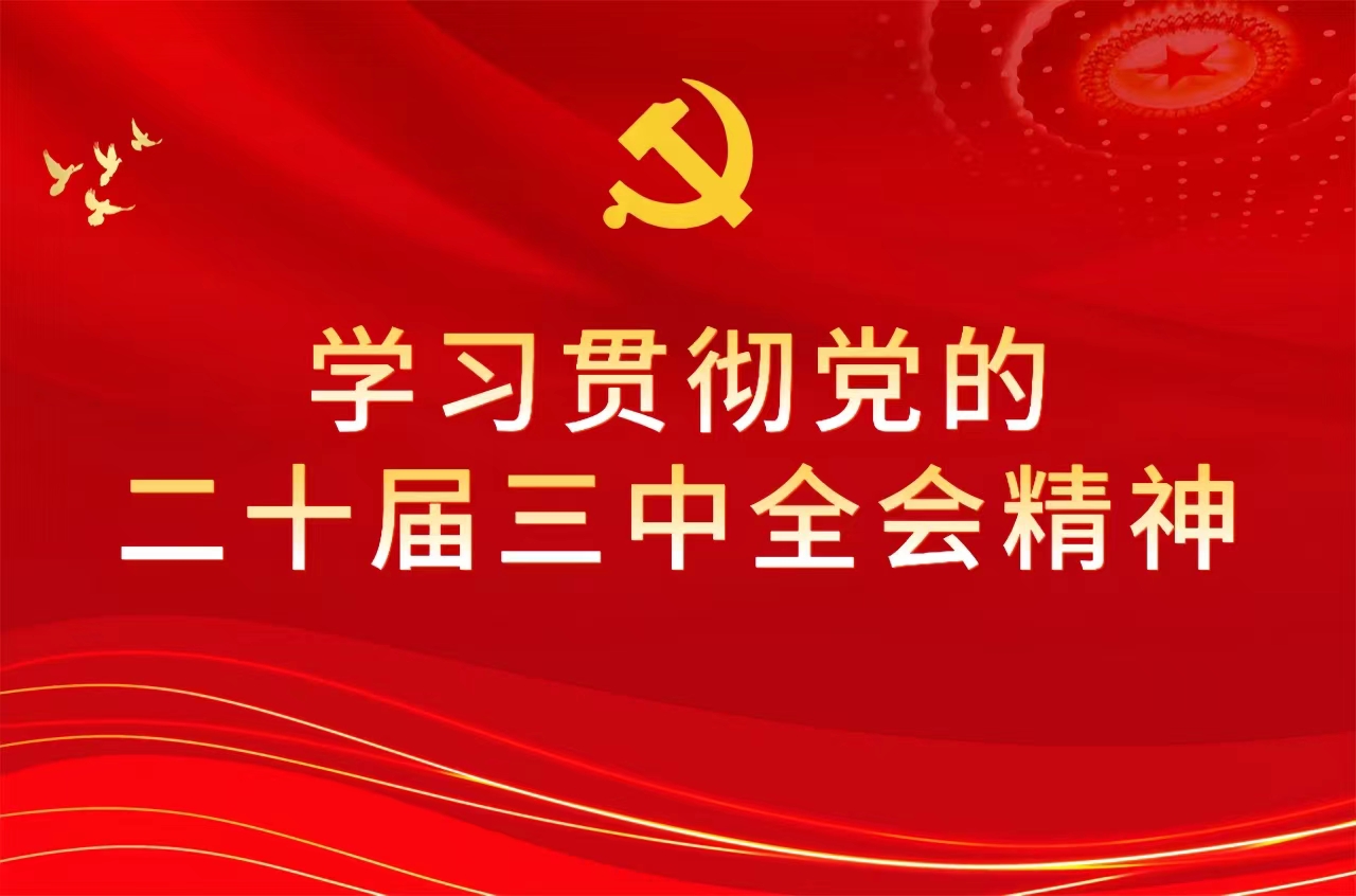 学习贯彻党的二十届三中全会精神