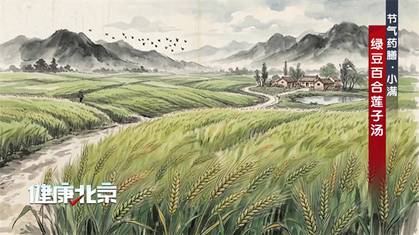节气药膳·小满——绿豆百合莲子汤