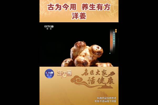 古为今用 养生有方——洋姜